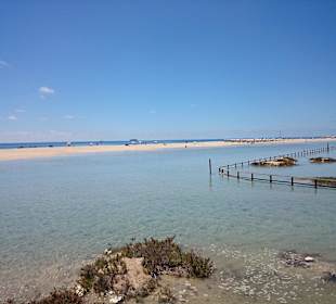 Überflutete Salzwiesen