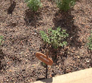 Arzneipflanzengarten Klosterreichenbach