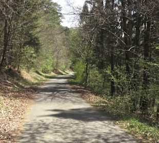 Waldlehrpfad an der Lauter