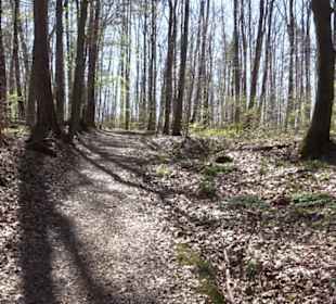 Wanderung Florianrunde