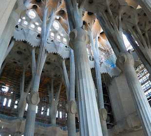 Viaje en julio a Barcelona