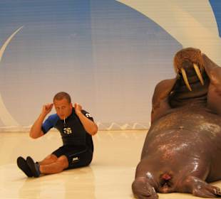 Delphinshow in Belek