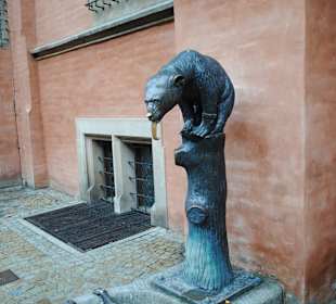 Niedźwiedź obok Piwnicy Świdnickiej  