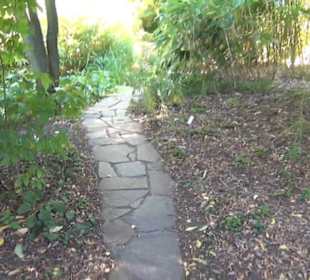 Botanischer Garten