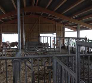 Erlebnisbauernhof und Wildgehege