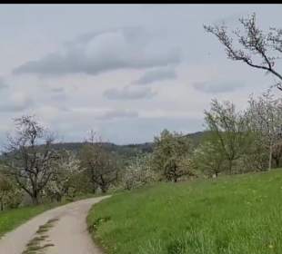 Wanderstrecke Mössinger Streuobstwegle