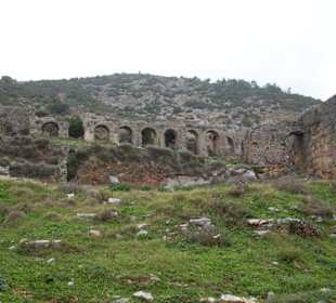 Anemurium