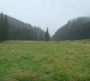 Dolina Kościeliska