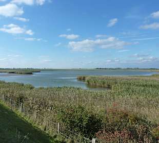 Sulsdorfer Wiek - Rastplatz für Zugvögel