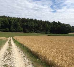 Tour entlang der Traifelbergfelsen