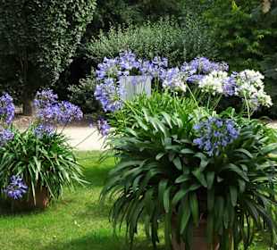 Eindrücke vom Rundgang durch den Park der Gärten