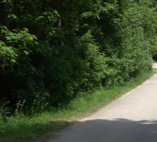 Wiesaztal Gönningen