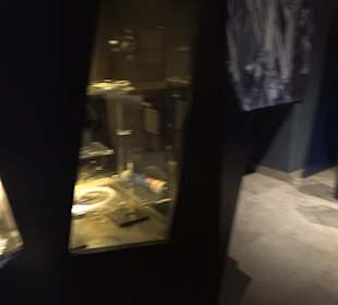 Staatliches Naturkunde Museum