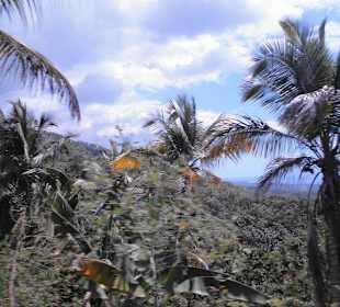 Blick auf Bucht von Samana