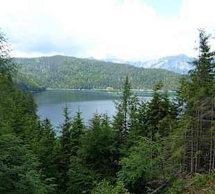 Blick auf den Eibsee