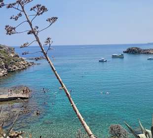 Anthony Quinn Bay