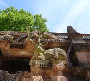 Schloss Heidelberg und Umgebung
