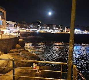 Hafen La Caleta de Adeje