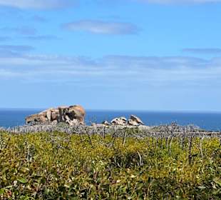 Remarkable Rocks