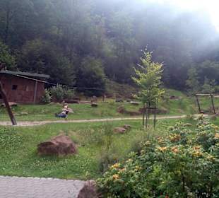 Erlebnispark Teufelstisch in Hinterweidenthal
