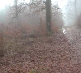 Auernheimer Krippenweg