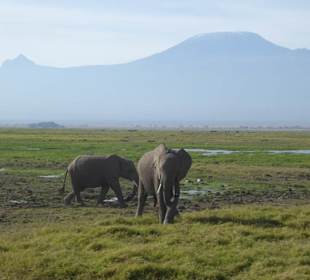 Der Park war sehr nass 