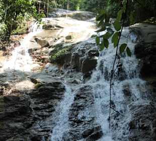 Dschungel- und Bootstour