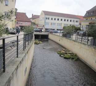 Fest des Federweißen in Landau