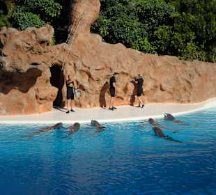 Loro Parque 