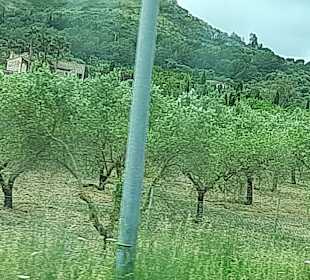 Wandern Can Picafort