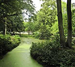 Кладбище Ольсдорф, Гамбург, 16 сентября 2013 года