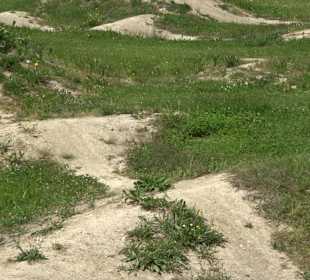 Pumptrack Oberiflingen