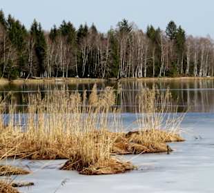 Der See im Spätwinter