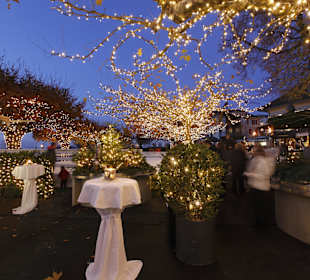 Die romantische Eisbahn am Zürichsee«Live on Ice Küsnacht