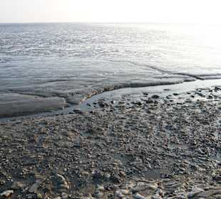 Das Wattenmeer