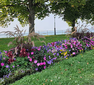 Uferpromenade Bregenz