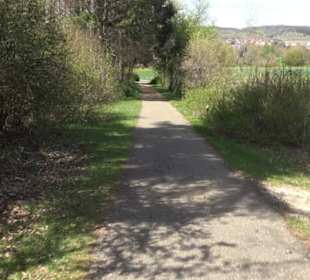 Strauchlehrpfad