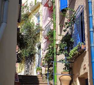 Impressionen aus der Altstadt von Collioure