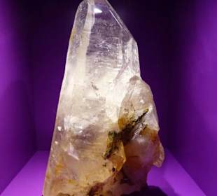 Haus Alpine Naturschau