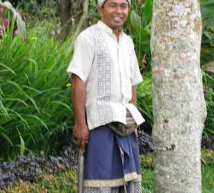 Made, Balis bester Reiseleiter