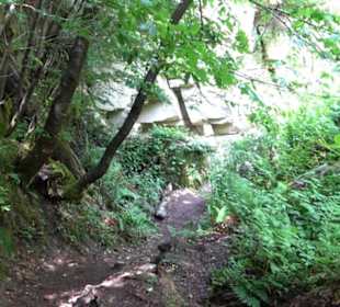Wanderweg - Alter Steinbruch Pfaffenberg Runde