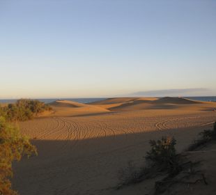 Dünen von Maspalomas gegen Abend