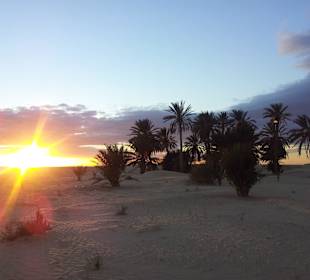 Douz Kamelstation und Sonnenuntergang