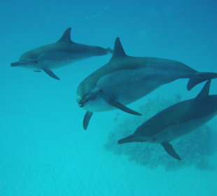 Etwa 3km vom Hotel entfernt