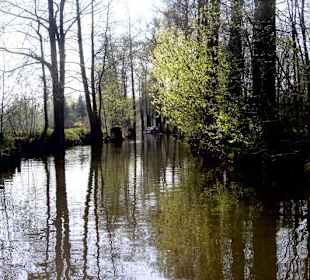 Spreewald