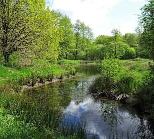 Eindrücke aus dem Stadtwald Oldenburg
