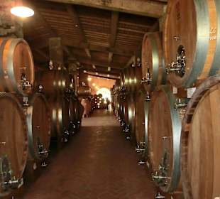 Der neue Weinkeller