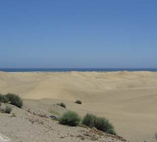 Dünen von Playa del Ingles