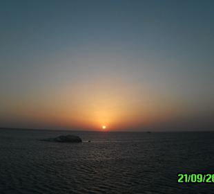 Sonnenaufgang Fury Shoal Riff