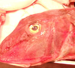 Englischer Markt Cork